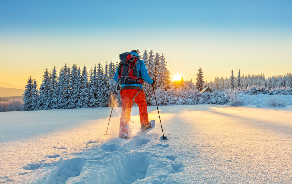 The Holidays are a Great Time to Learn to Snowshoe! Cornerstone Wealth Management